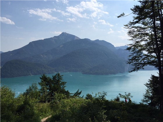 余教授奧地利鄉村行：萬(wàn)科為什么說(shuō)把奧地利小鎮搬回來(lái)？