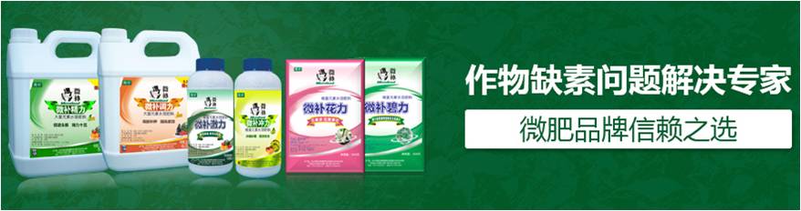 #微肥課堂#為什么葉面肥養分含量相同，效果卻不同？