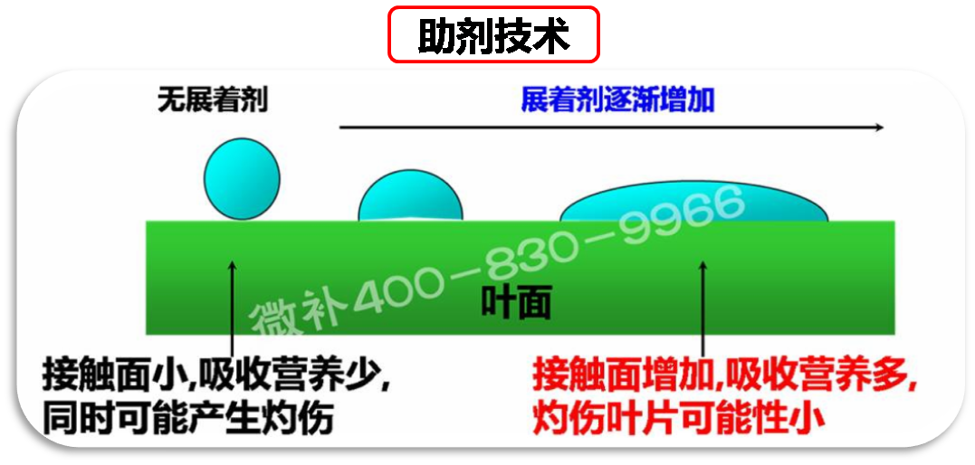 余教授德國鄉村行：我在德國為什么不會(huì )點(diǎn)啤酒了？