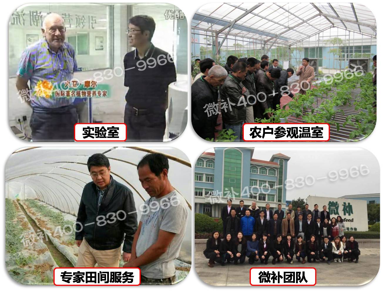 余教授奧地利維也納行：不懂音樂(lè )的農民教授，在音樂(lè )之都的感受