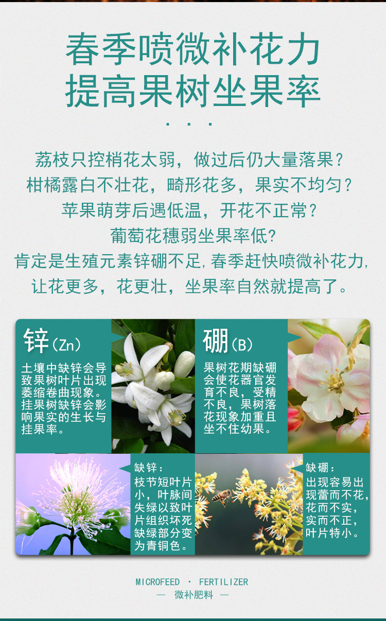 微補花力_07.jpg