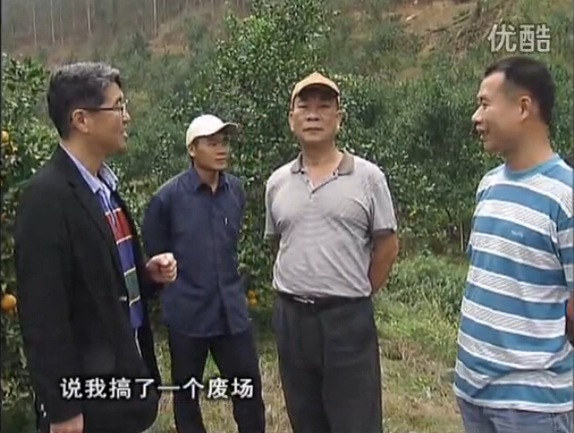 20160118珠江臺搖錢(qián)樹(shù)：貢柑用微補全年營(yíng)養方案，黃樹(shù)翻身還高產(chǎn)增果