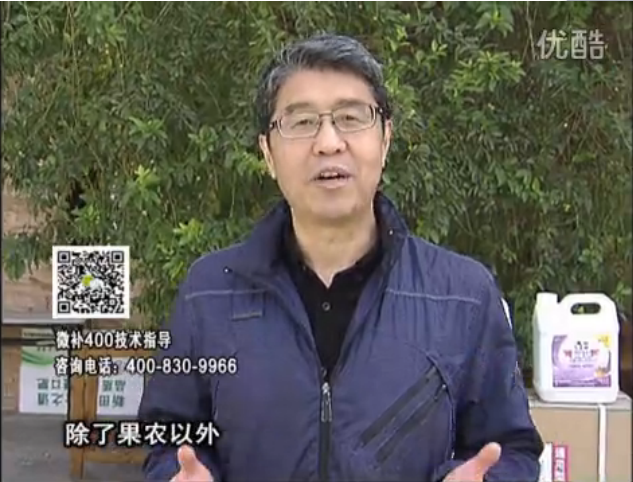 20160321珠江臺搖錢(qián)樹(shù)：柑橘用微補方案，百萬(wàn)收入不是夢(mèng)