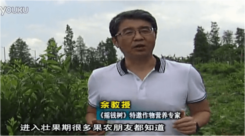20160620珠江臺搖錢(qián)樹(shù)：柑橘淋微補調力、噴蓋力+壯力，調酸壯長(cháng)勢、膨果防裂好