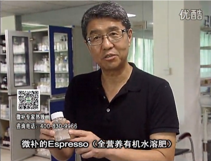 20160822珠江臺搖錢(qián)樹(shù)：柑橘秋梢淋沖因迪樂(lè )精華粉，補充有機營(yíng)養，健壯果樹(shù)