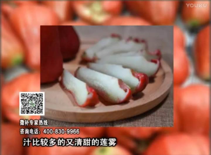 20170424珠江臺搖錢(qián)樹(shù)：蓮霧淋沖微補水肥，壯長(cháng)、提高果實(shí)品質(zhì)賣(mài)價(jià)