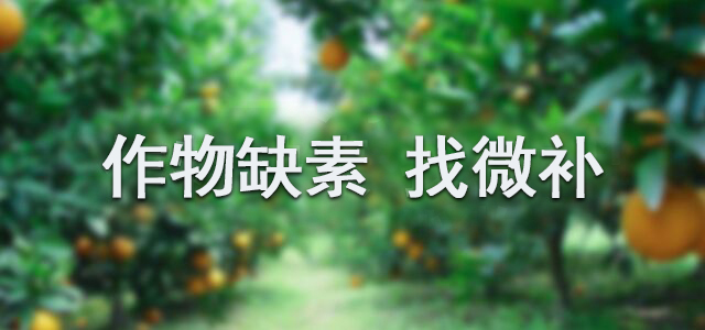 攜手微補(bǔ),開創(chuàng)微肥新時(shí)代