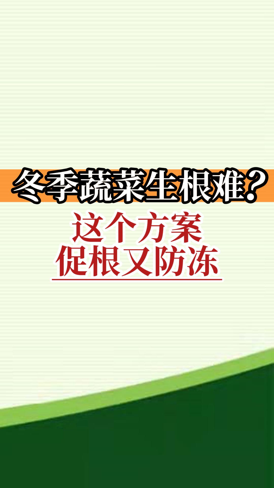 冬季蔬菜生根難？這個方案促根又防凍