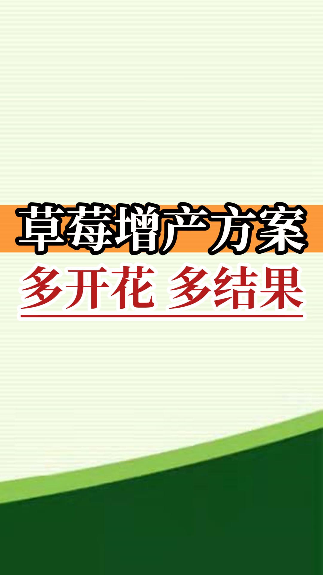 草莓增產(chǎn)方案 多開花 多結果