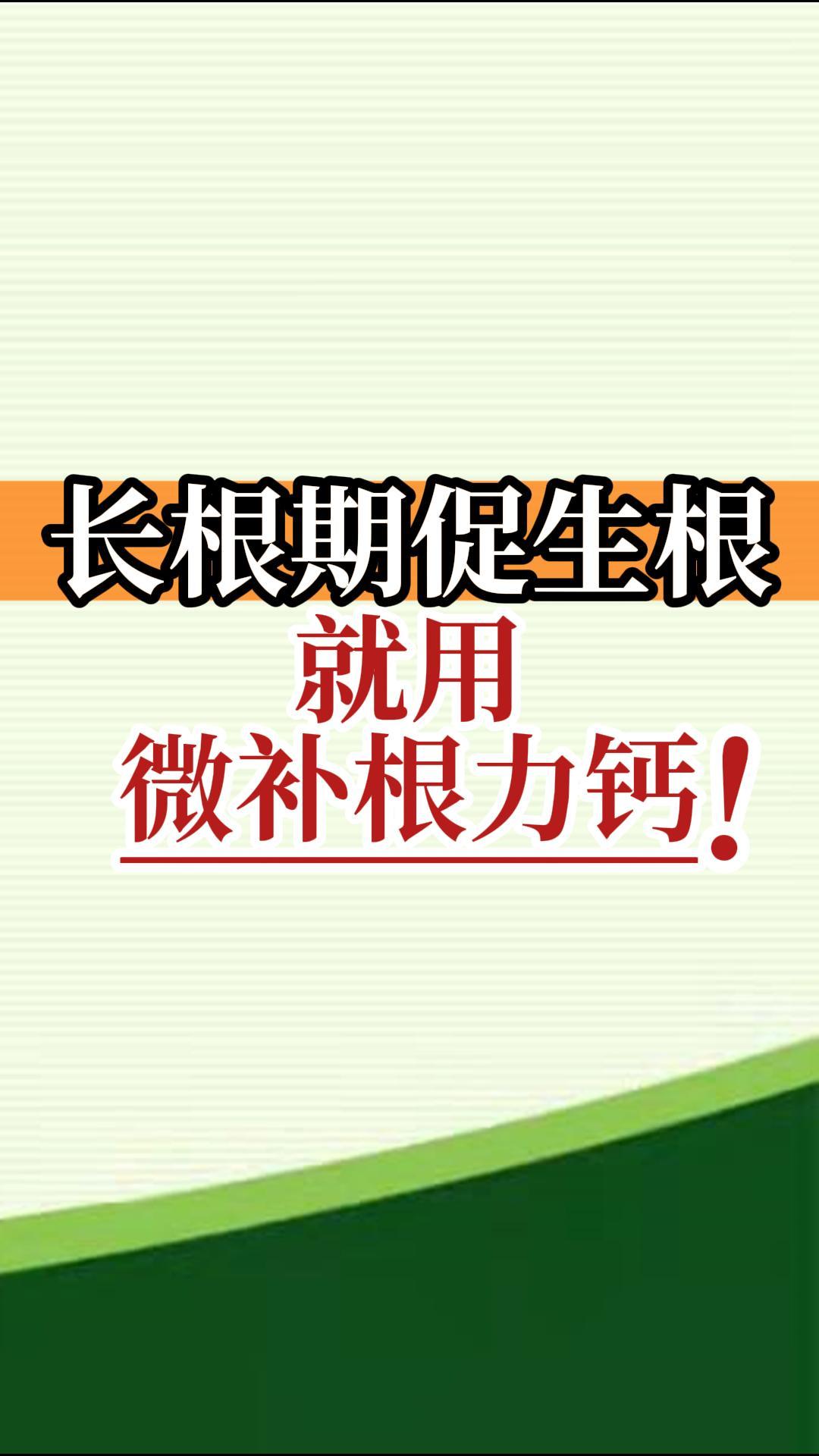長(cháng)根期促生根就用微補根力鈣！