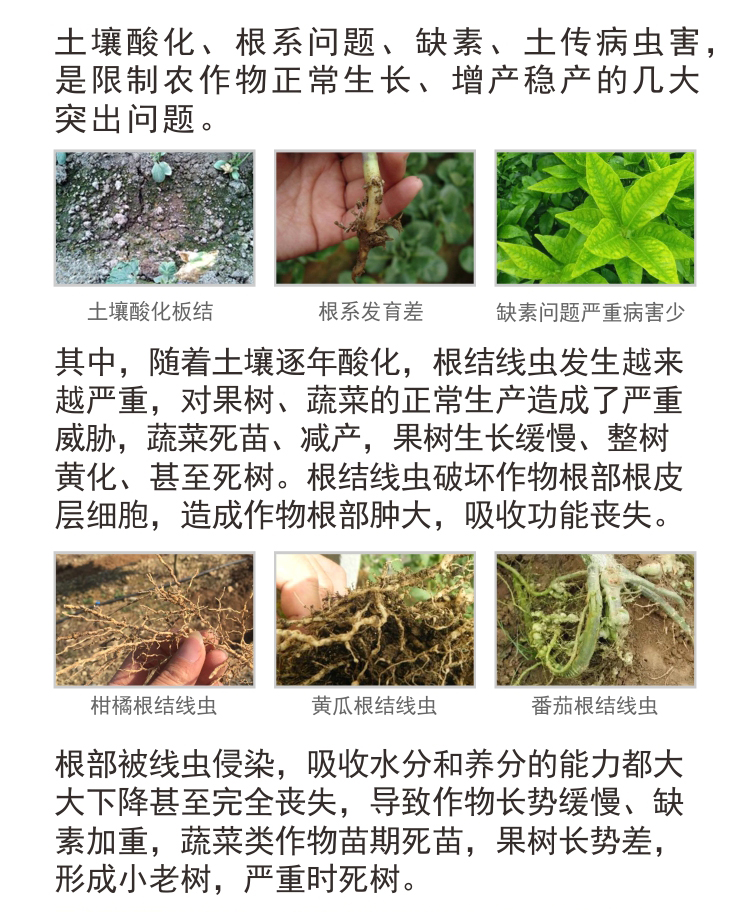 BioMicro線(xiàn)蟲(chóng)