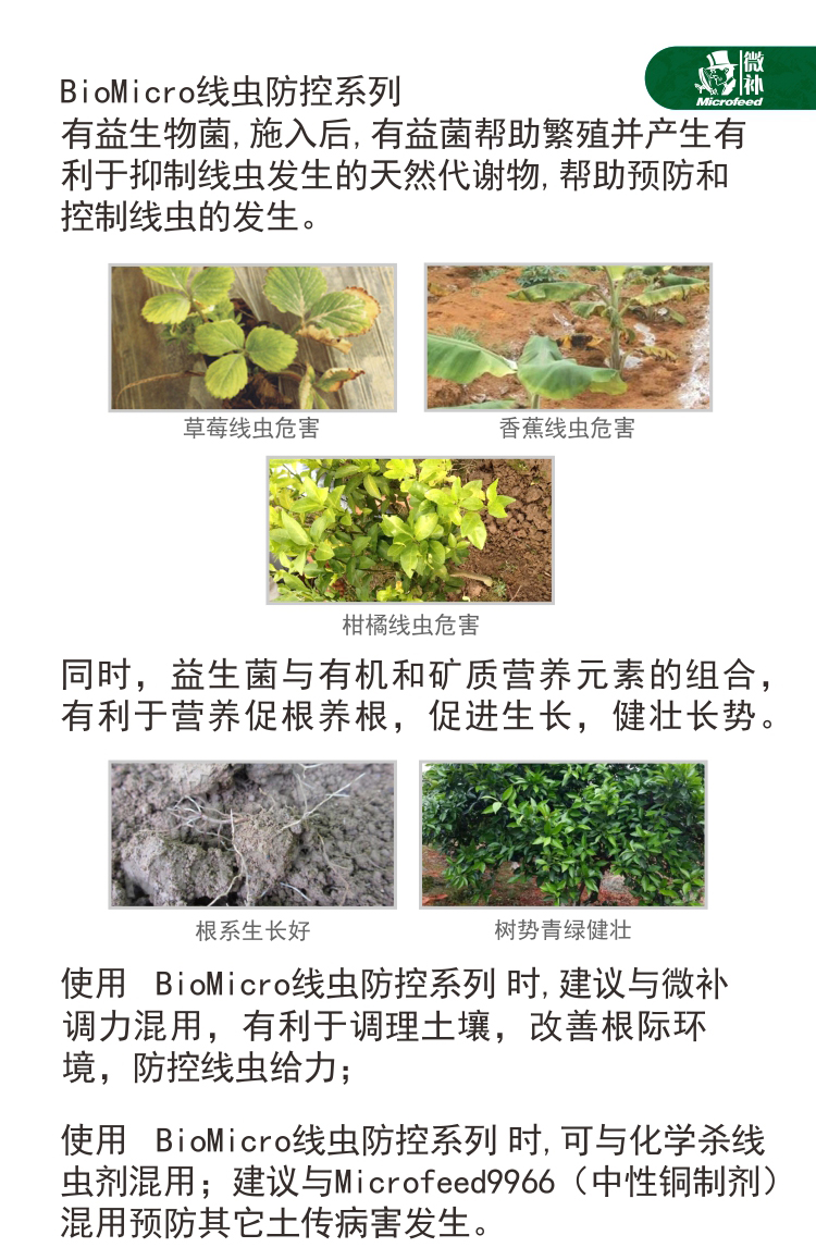 BioMicro線(xiàn)蟲(chóng)