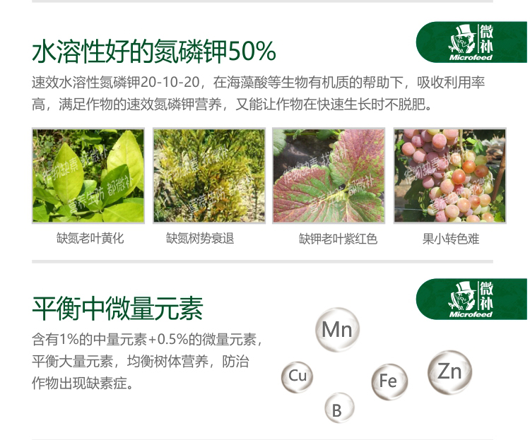 微補海藻全力
