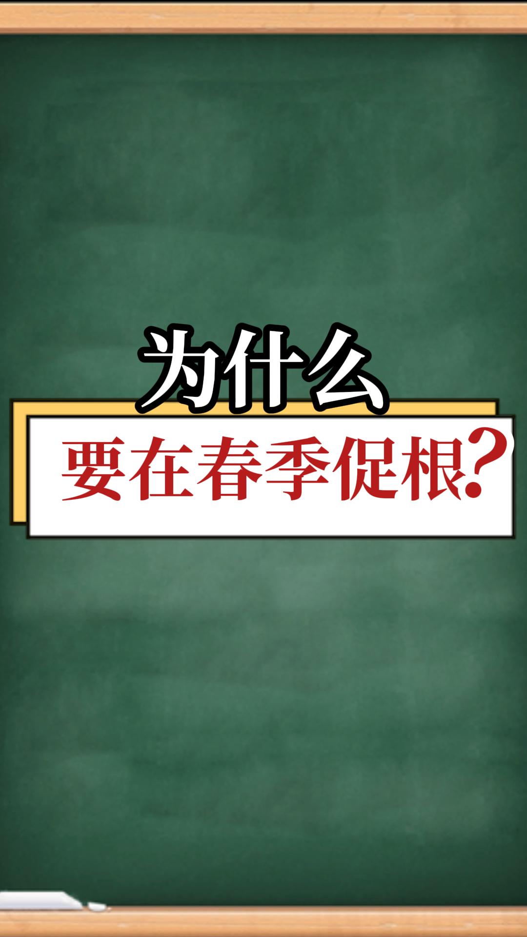 為什么要在春季促根？