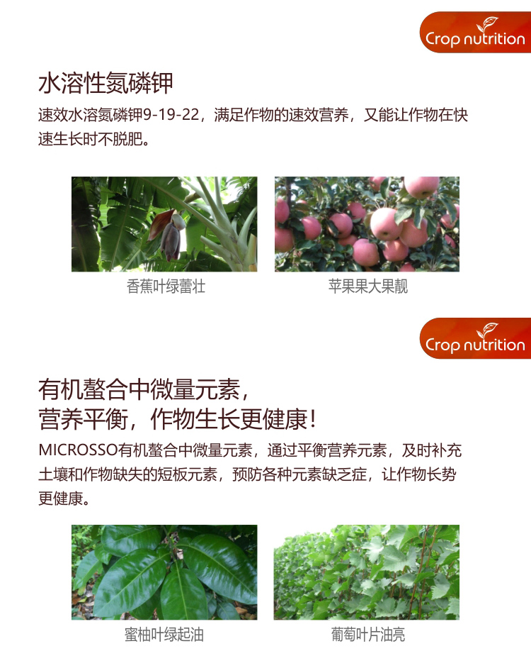 因迪樂(lè )水溶肥9-19-22