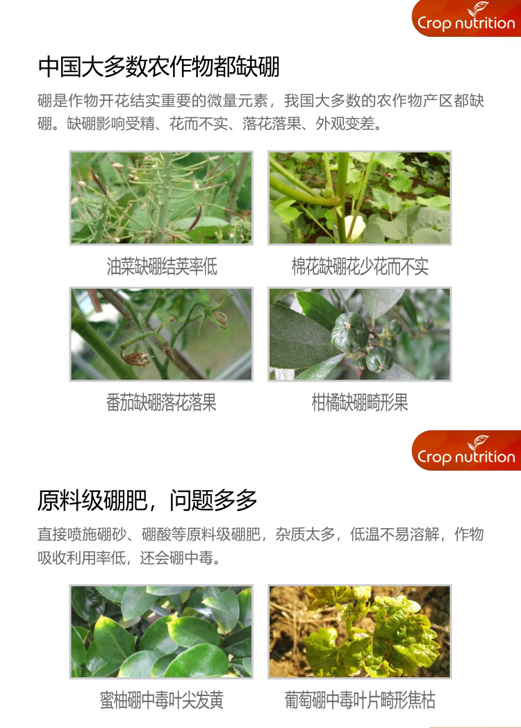 因迪樂(lè )硼