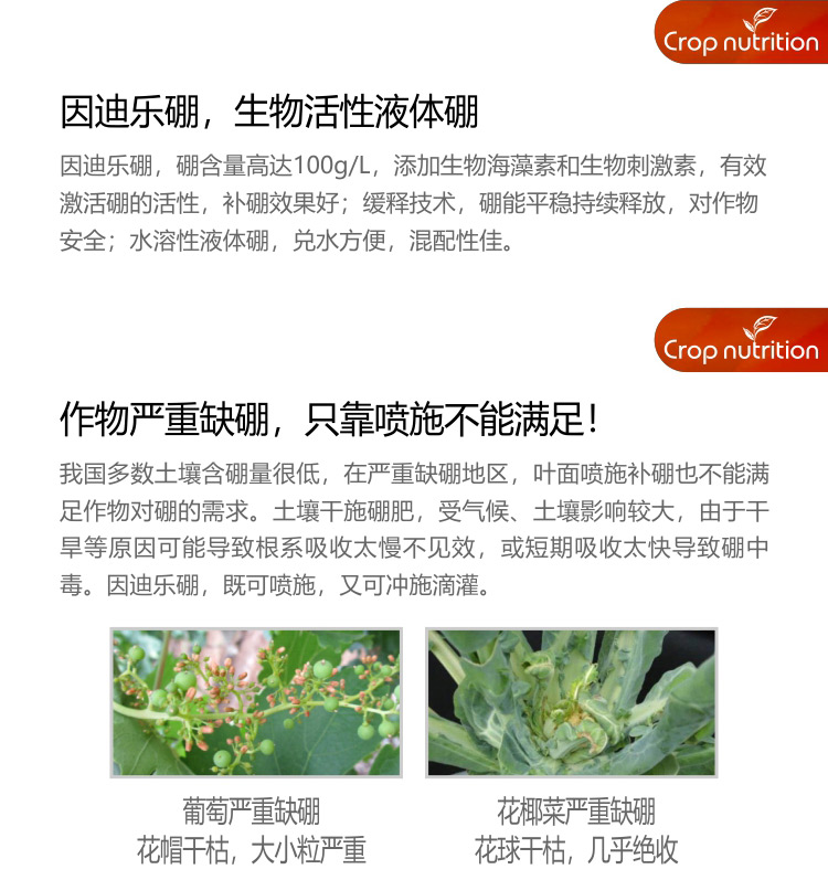 因迪樂(lè )硼