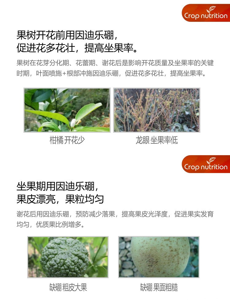 因迪樂(lè )硼