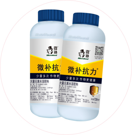 如何做好冬季清園，減少來(lái)年病蟲(chóng)害影響