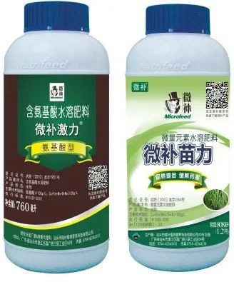 讓作物安全過(guò)冬的實(shí)用小妙招，速看