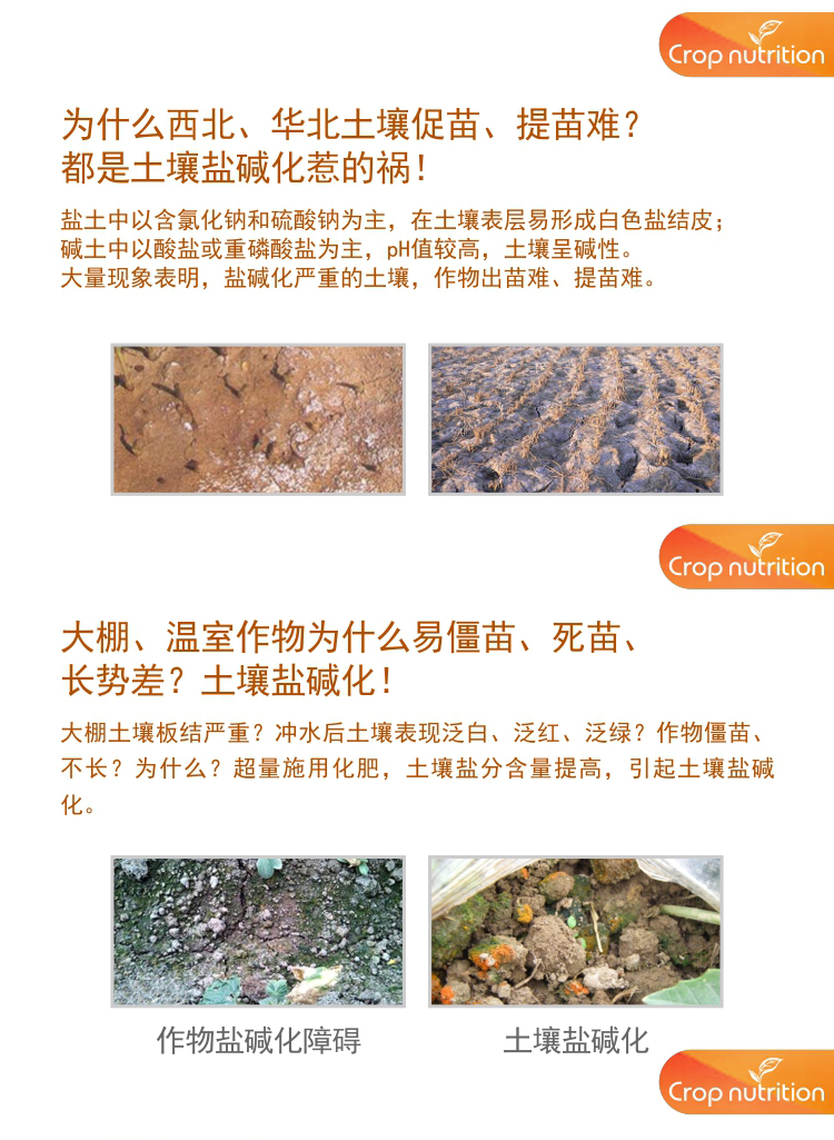 因迪樂(lè )水溶肥5-35-10