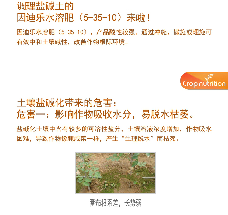 因迪樂(lè )水溶肥5-35-10