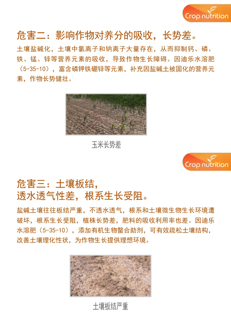 因迪樂(lè )水溶肥5-35-10