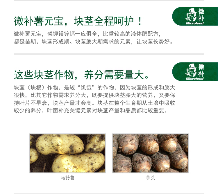 微補(bǔ)薯元寶