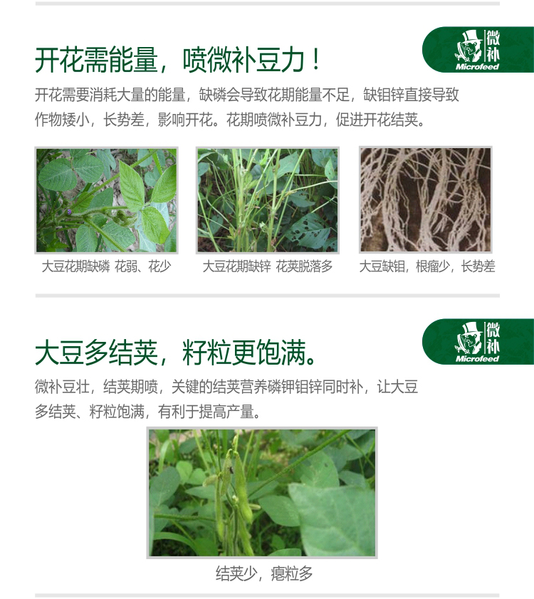 微補豆力