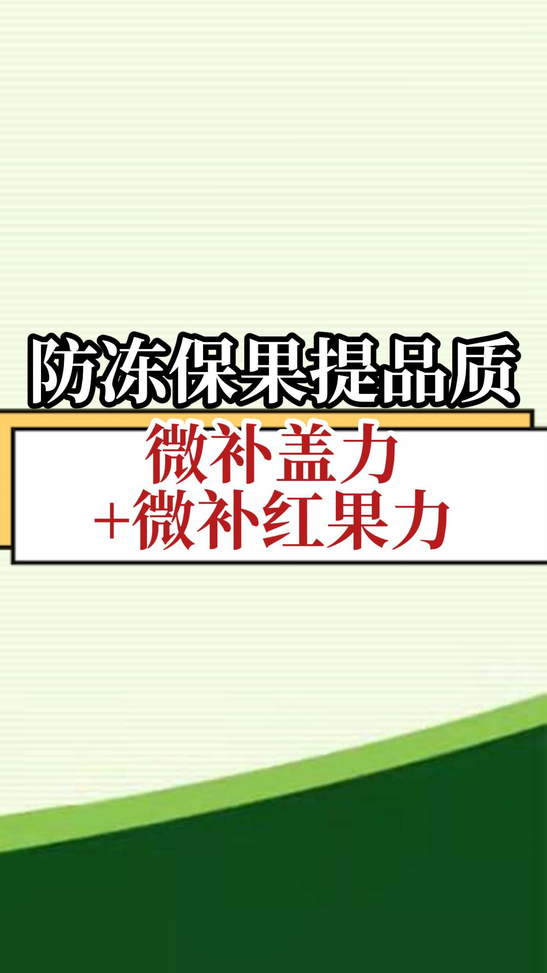 防凍保果提品質 微補蓋力+微補紅果力