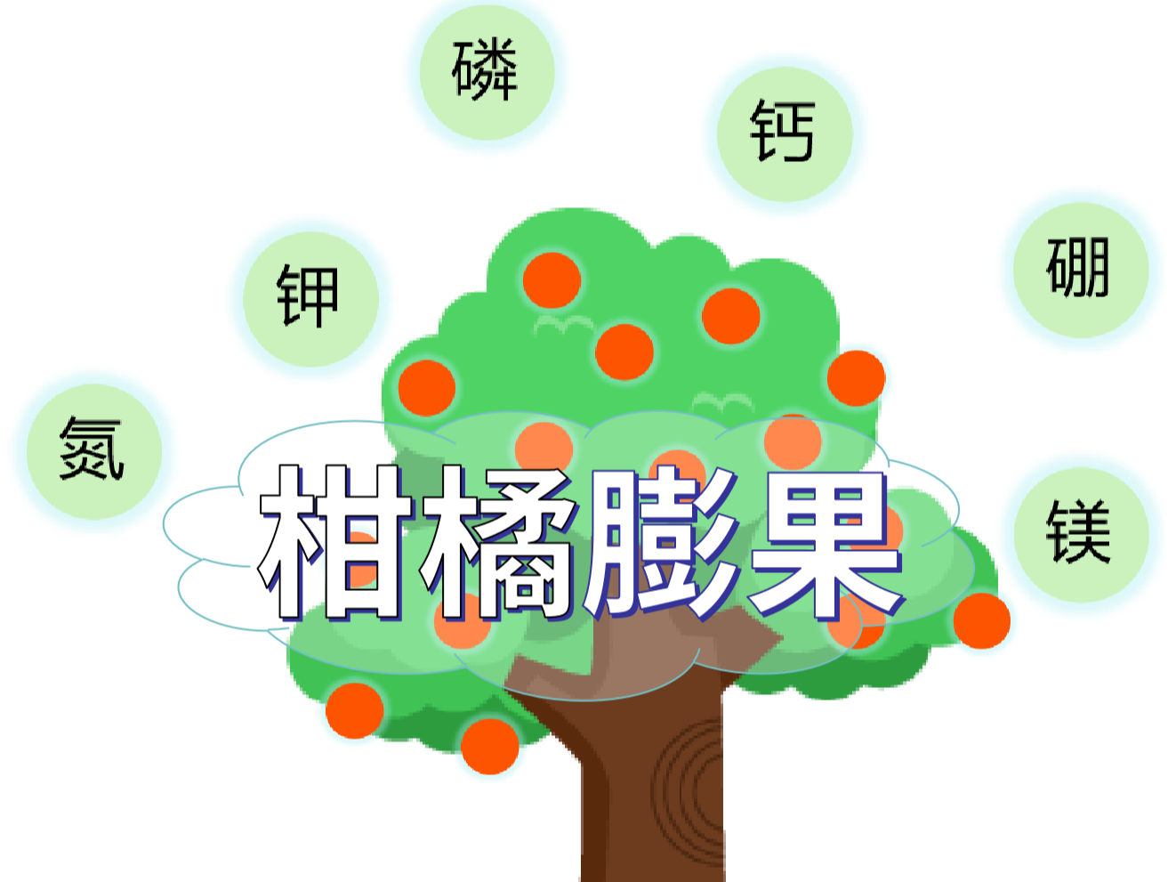 柑橘膨果慢？找準原因，“對癥下藥”