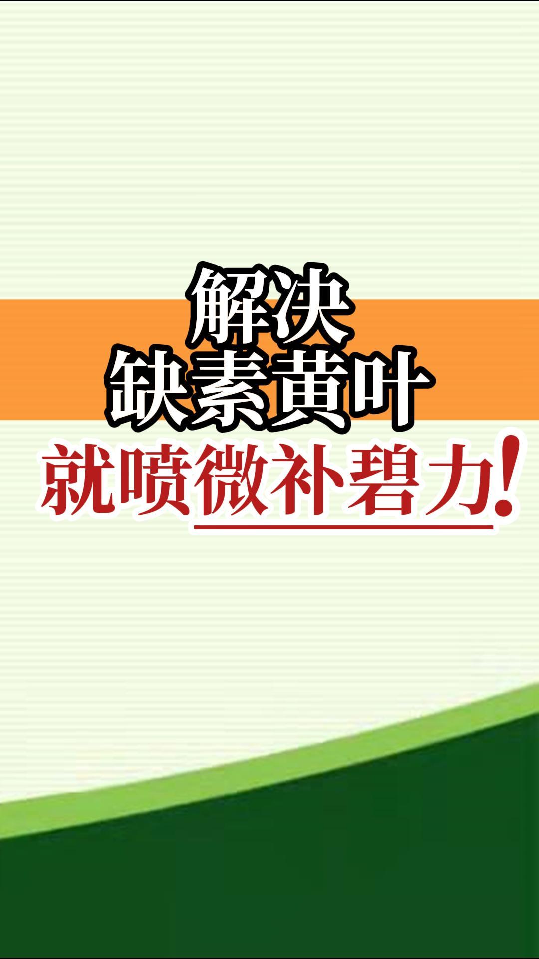 解決缺素黃葉就噴微補碧力！
