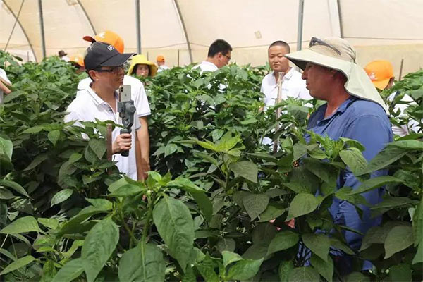 深度思考：我們到底應該向以色列農業(yè)學(xué)習什么？